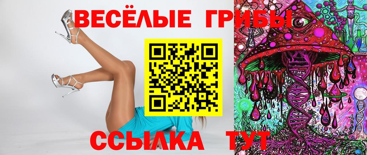 купить   Галлюциногенные грибы мицелий  Вход с VPN  Медногорск  Галлюциногенные грибы MAGIC MUSHROOMS 