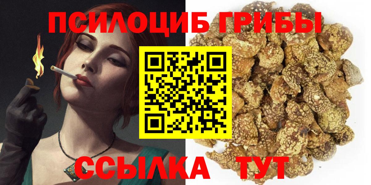 Псилоцибиновые грибы Cubensis Медногорск